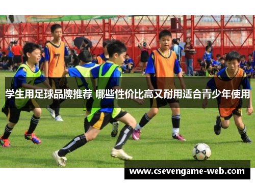 学生用足球品牌推荐 哪些性价比高又耐用适合青少年使用