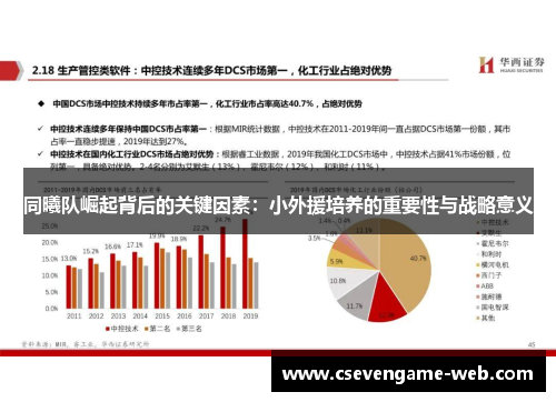 同曦队崛起背后的关键因素：小外援培养的重要性与战略意义