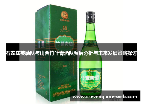 石家庄英励队与山西竹叶青酒队赛后分析与未来发展策略探讨