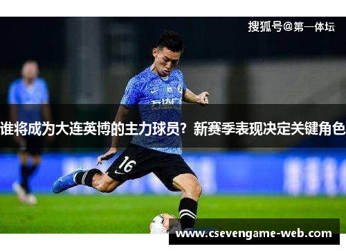 谁将成为大连英博的主力球员?新赛季表现决定关键角色 谁将成为大连英博的主力球员?新赛季表现决定关键角色