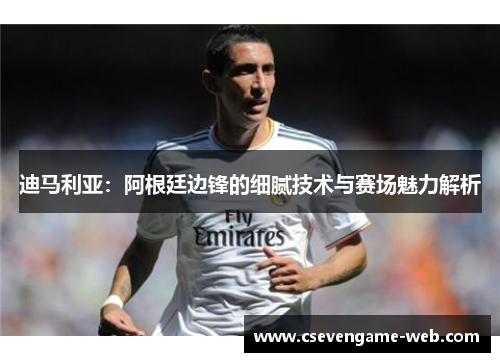 迪马利亚：阿根廷边锋的细腻技术与赛场魅力解析