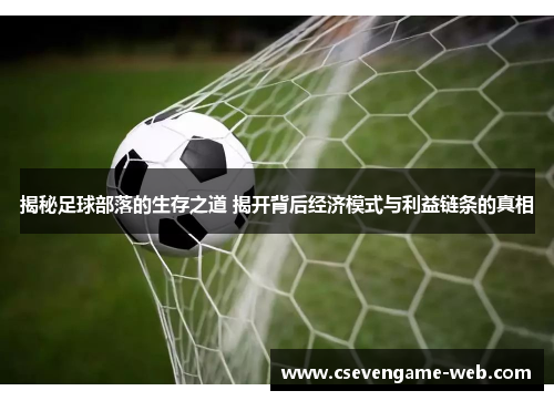 揭秘足球部落的生存之道 揭开背后经济模式与利益链条的真相