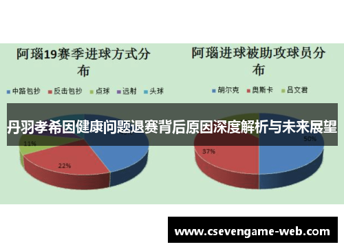 丹羽孝希因健康问题退赛背后原因深度解析与未来展望