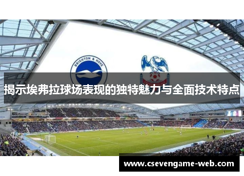 揭示埃弗拉球场表现的独特魅力与全面技术特点 揭示埃弗拉球场表现的独特魅力与全面技术特点